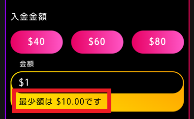 入金実績