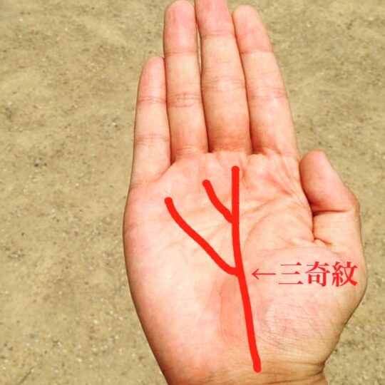 三奇紋
