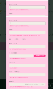 ユースカジノ情報入力欄