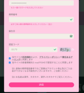 ユースカジノ情報入力欄2