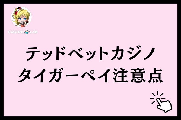 テッドベットタイガーペイ注意点