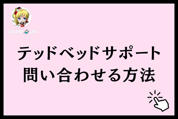 テッドベットサポート 問い合わせ方法