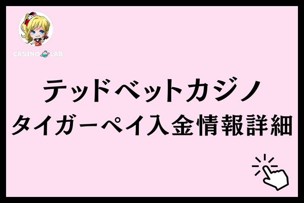 テッドベットタイガーペイ入金