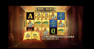 BOOK BONZ
