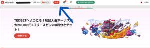 テッドベットタイガーペイ入金1