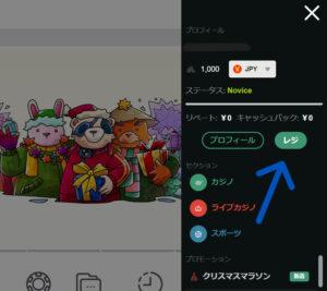 テッドベットタイガーペイ出金1