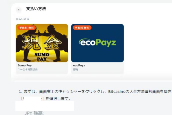 エコペイズ 入金